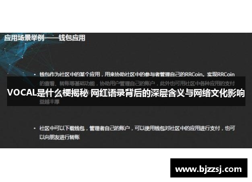 VOCAL是什么梗揭秘 网红语录背后的深层含义与网络文化影响