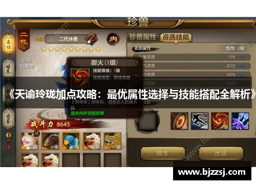 《天谕玲珑加点攻略：最优属性选择与技能搭配全解析》